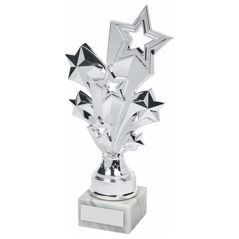 Silver Stars Achievement Trophy 220mm
