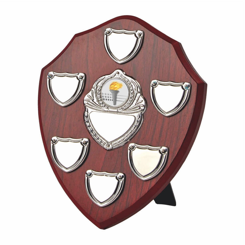 Annual Presentation Shield 250mm
