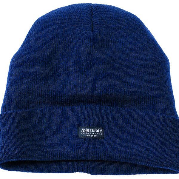 Thinsulate Watch Hat