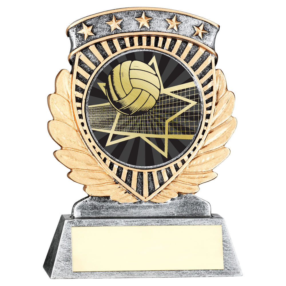 PEW/GOLD 5 STAR HOLDER WITH VINYL VOLLEYBALL INSERT & PLATE - 3.75in
