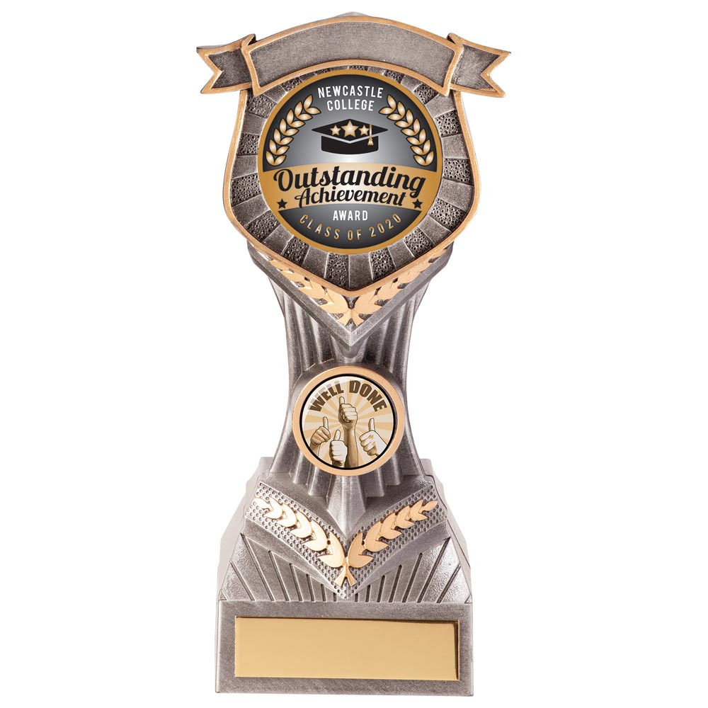 Falcon Multisport Award 180mm