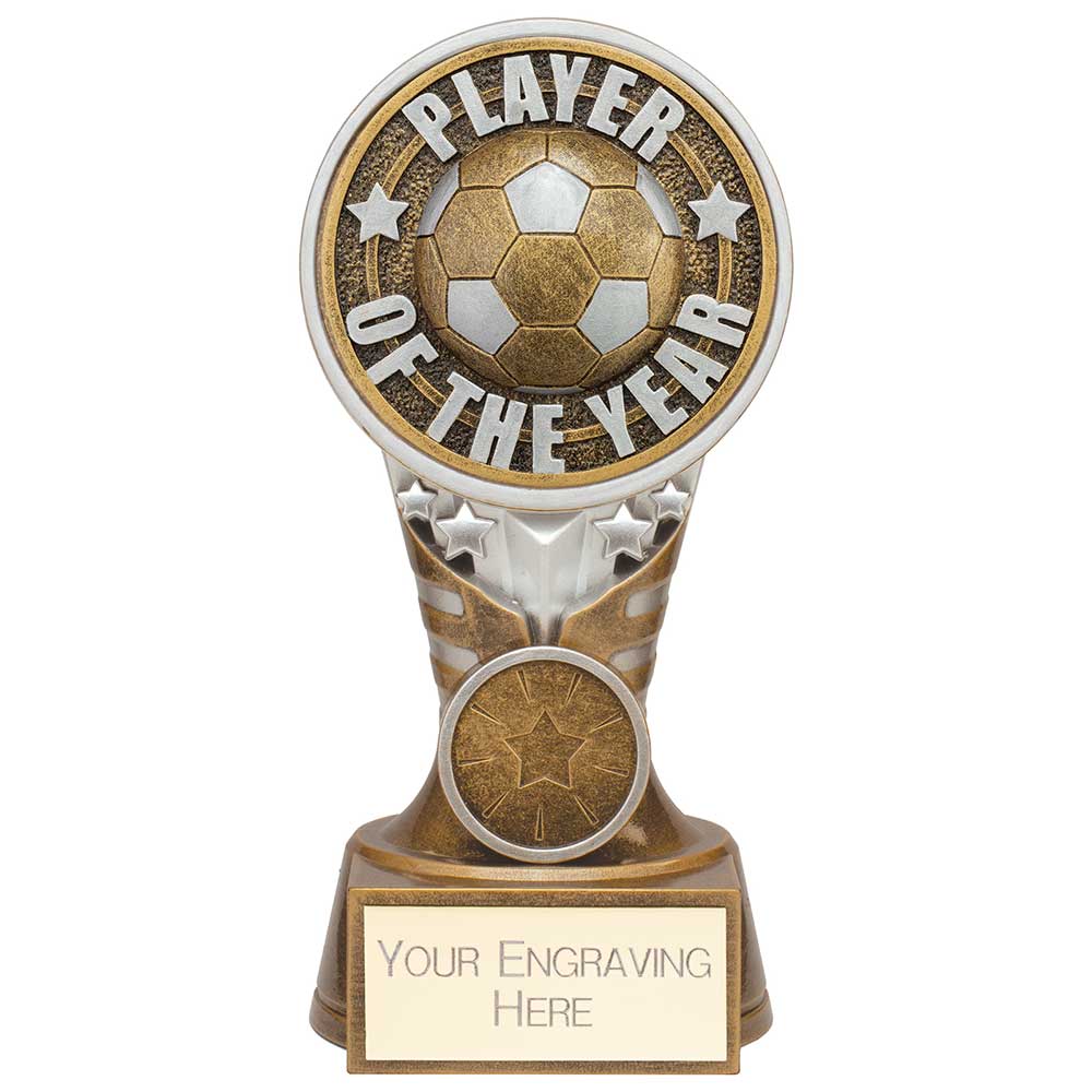 Ikon Tower Player of the Year Award Antique Silver & Gold 150mm