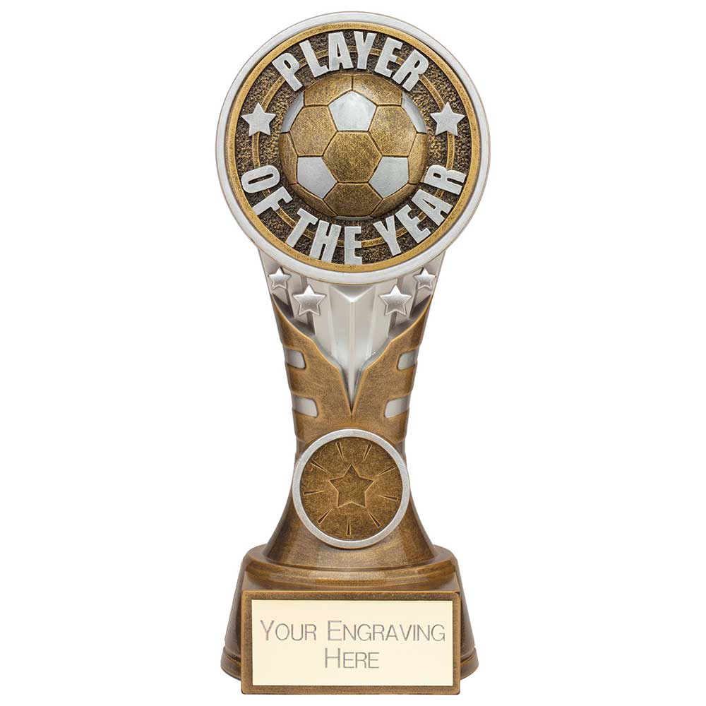 Ikon Tower Player of the Year Award Antique Silver & Gold 175mm