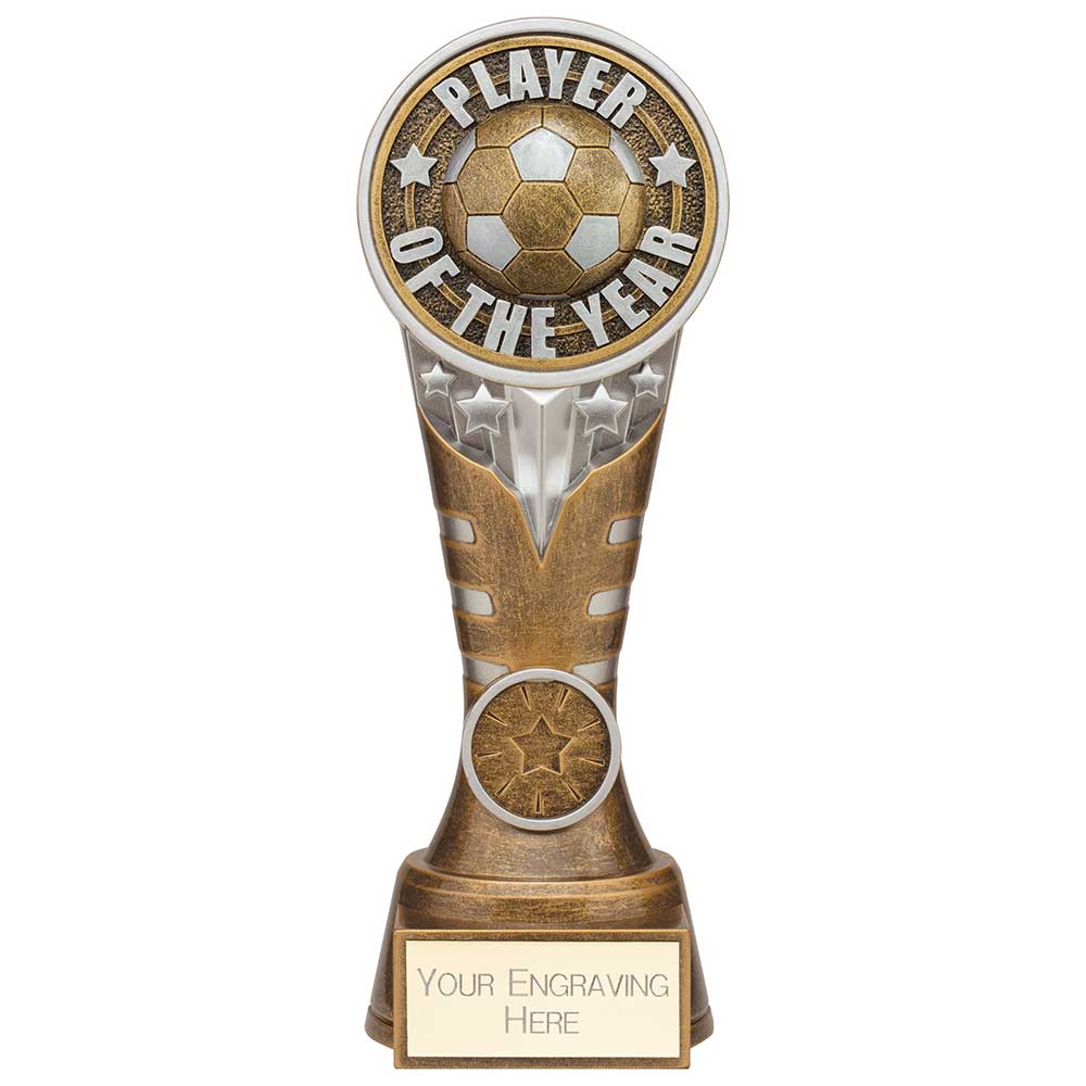 Ikon Tower Player of the Year Award Antique Silver & Gold 200mm