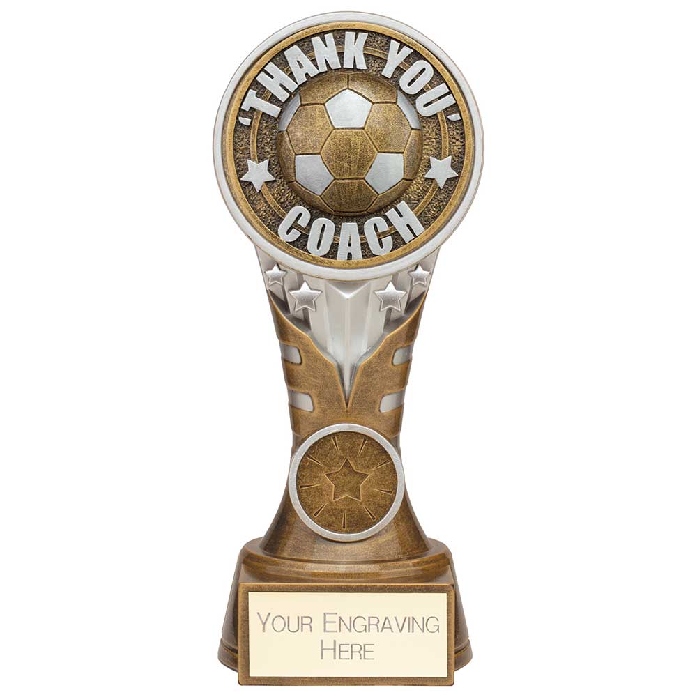 Ikon Tower Thank you Coach Award Antique Silver & Gold 175mm