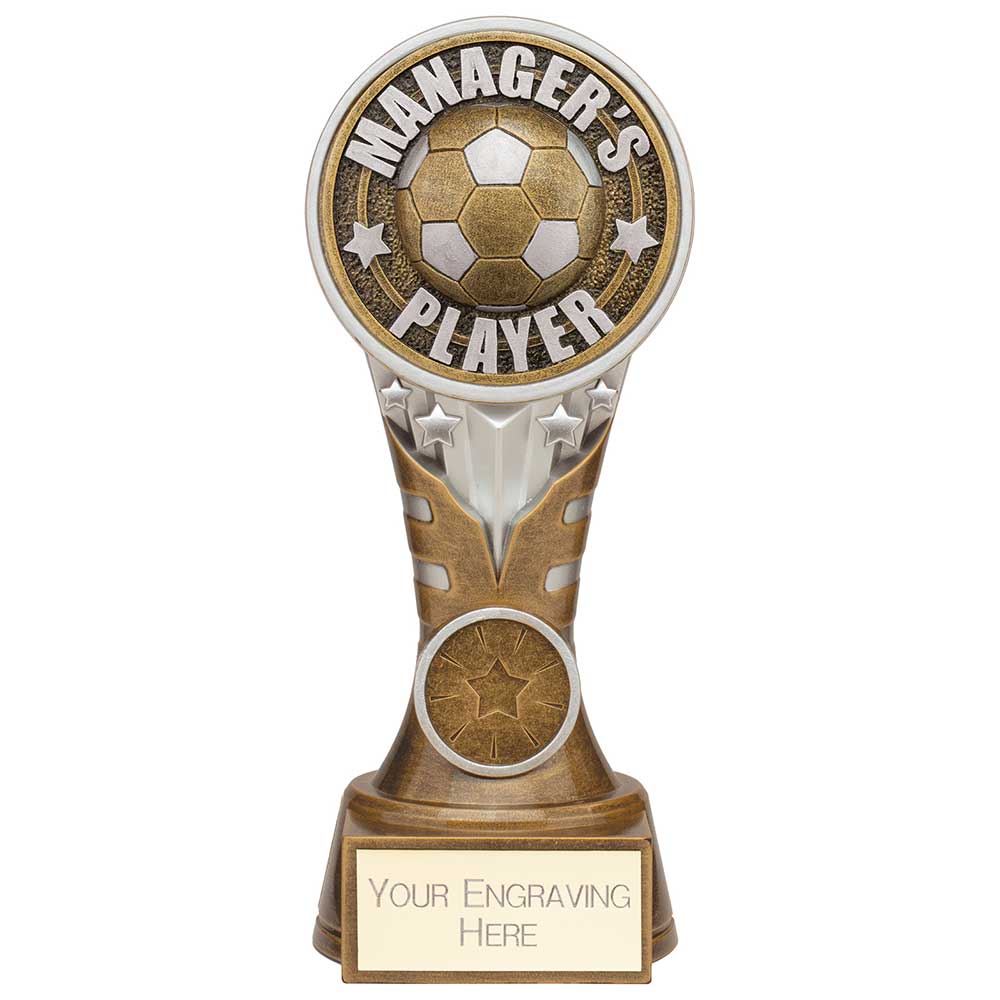 Ikon Tower Managers Player Award Antique Silver & Gold 175mm