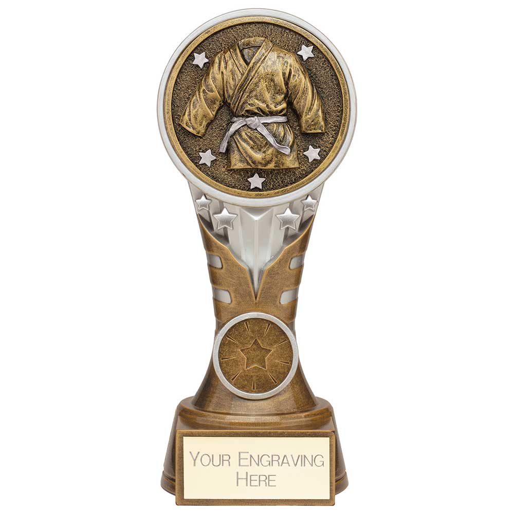 Ikon Tower Martial Arts Award Antique Silver & Gold 175mm