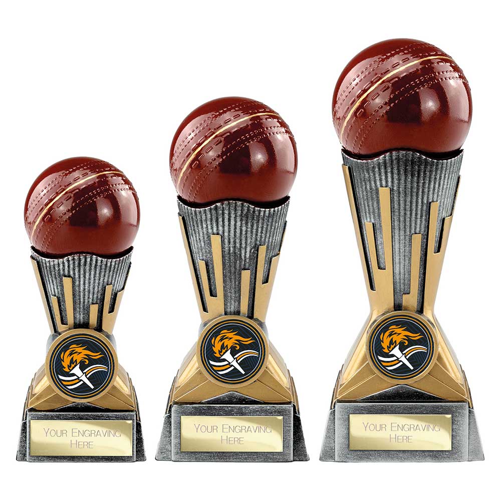 Digital Cricket Award Antique Silver & Gold 150mm