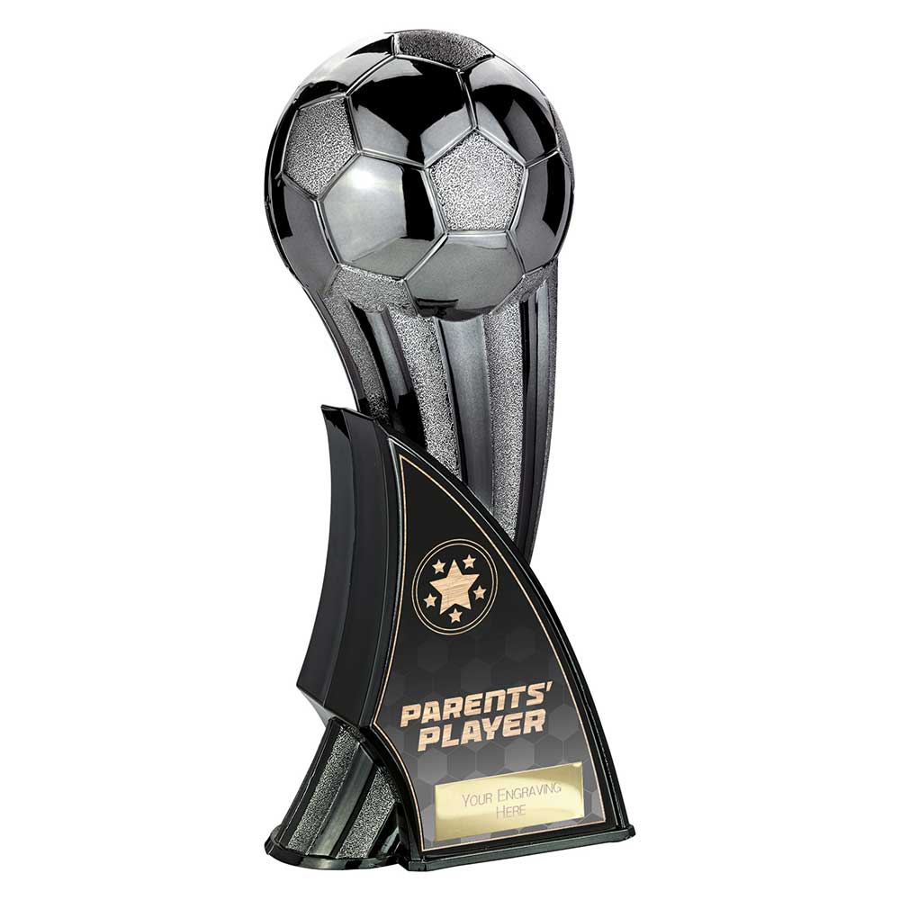 Firestorm Heavyweight Parents Player Gunmetal to Black 240mm