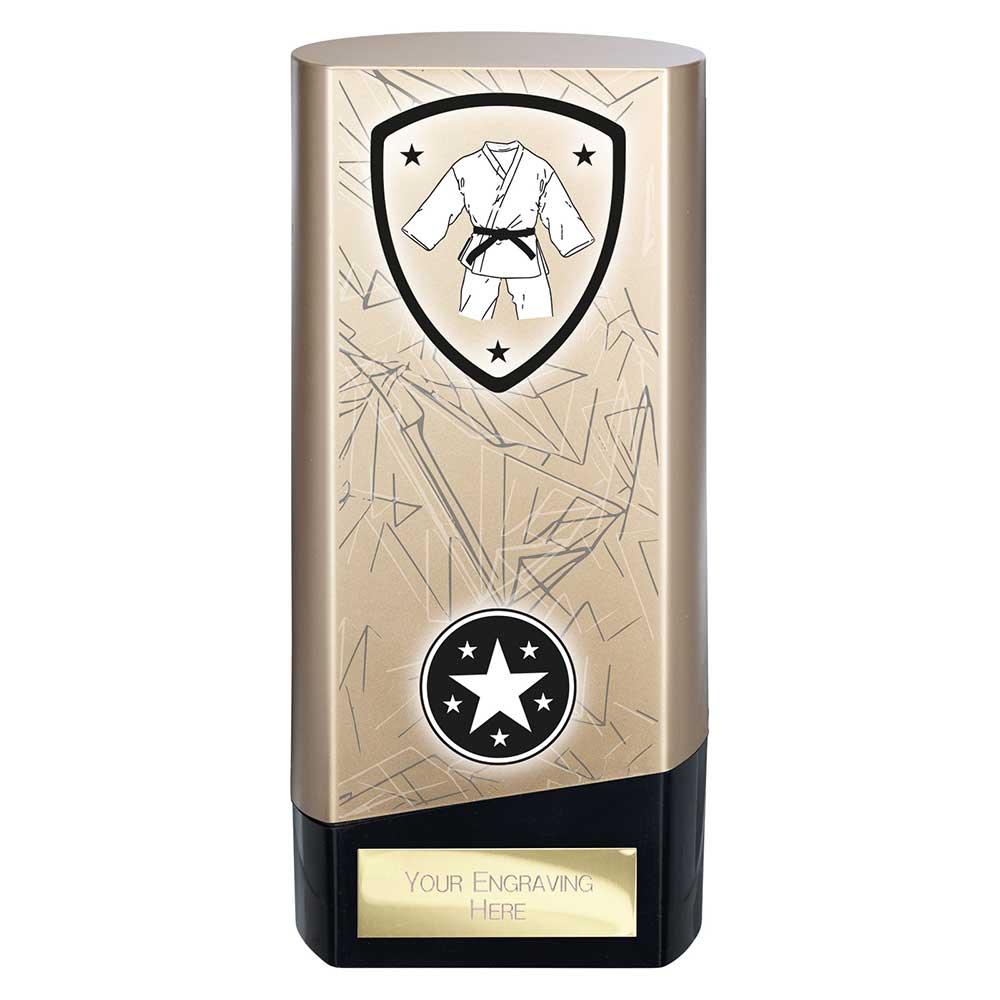 Prime Heavyweight Martial Arts Gold & Black 160mm