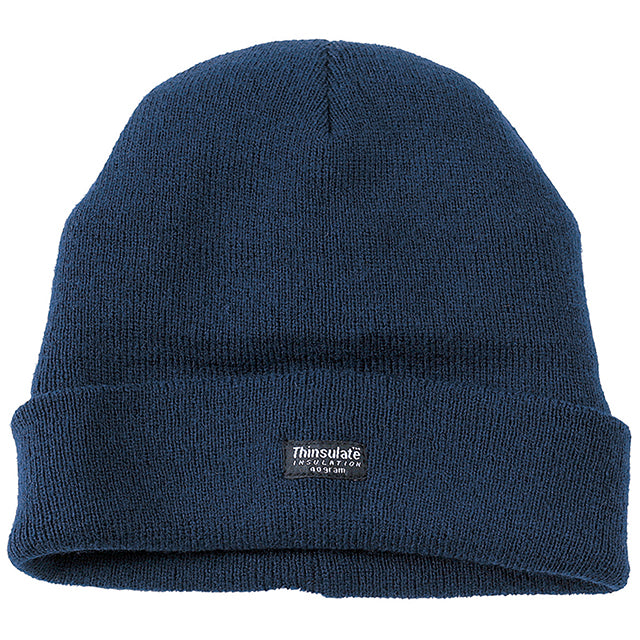 Thinsulate Watch Hat