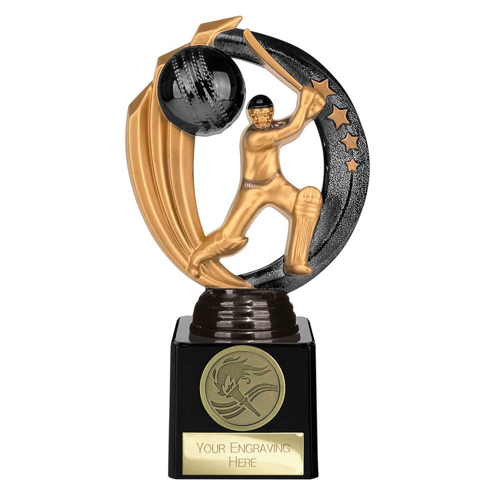Renegade Legend Cricket Award Black 175mm