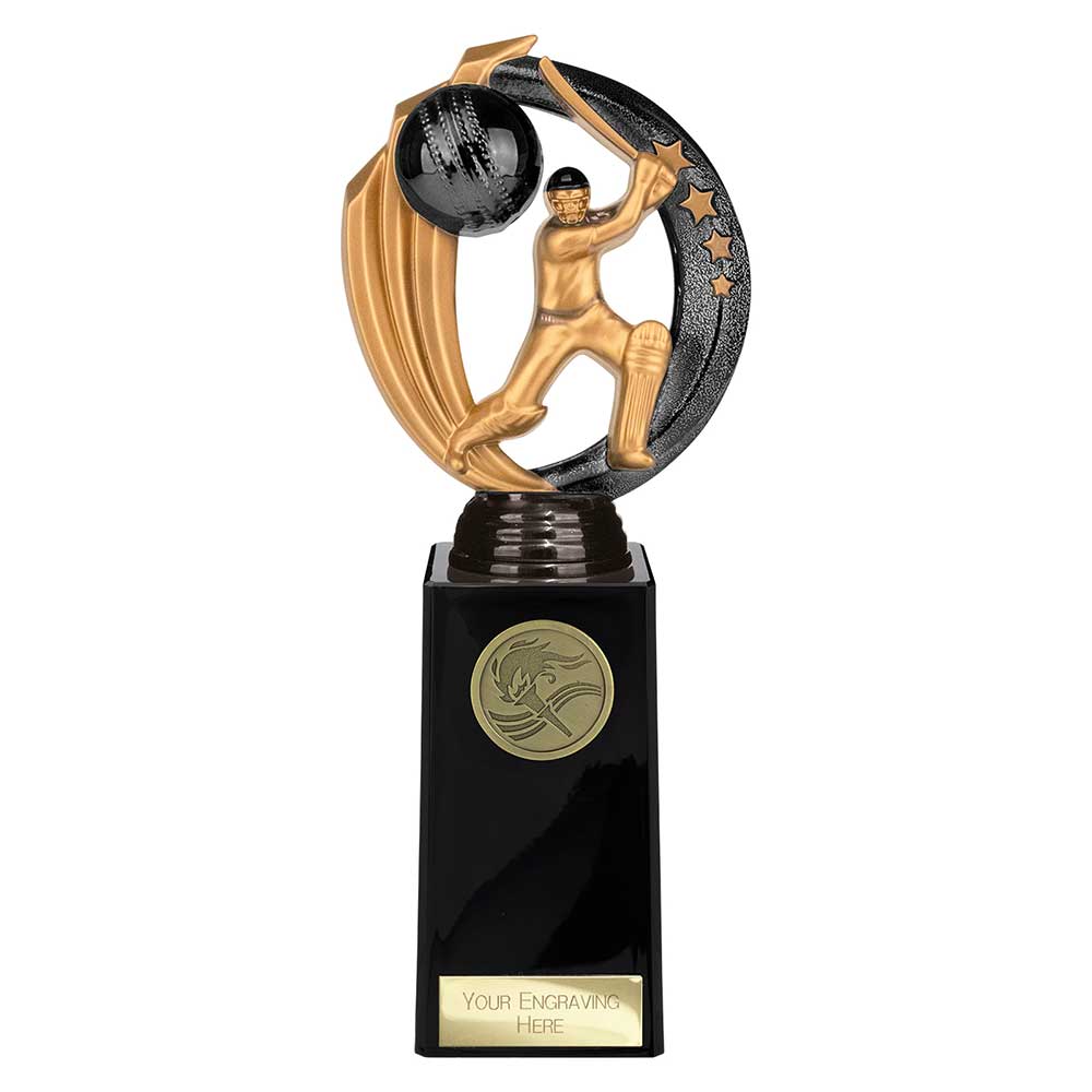 Renegade Legend Cricket Award Black 225mm