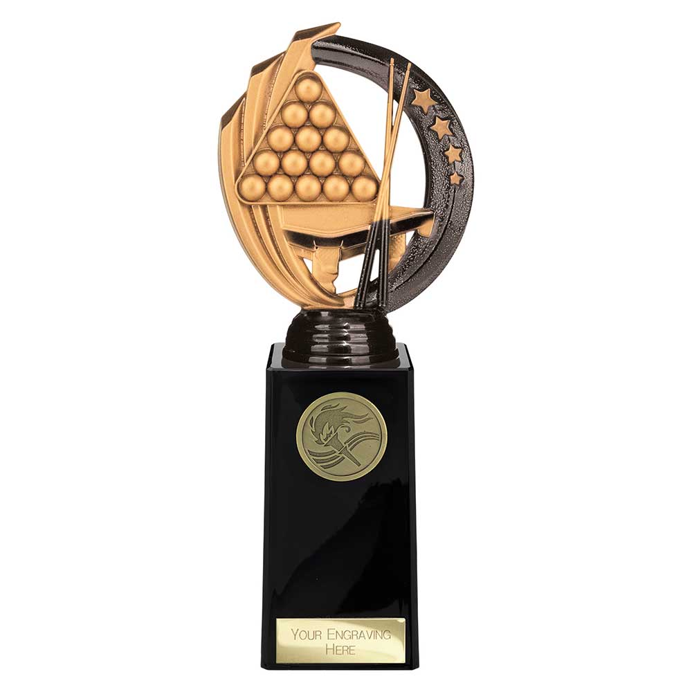 Renegade Legend Snooker Award Black 225mm