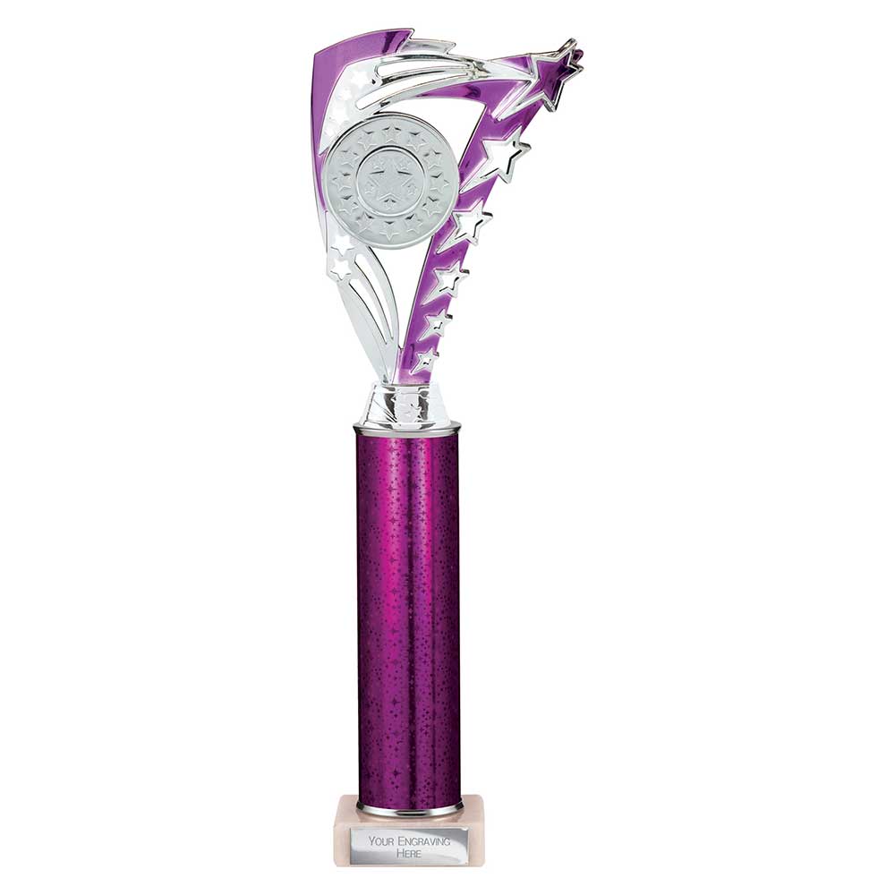 Frenzy Multisport Tube Trophy Silver & Purple 365mm