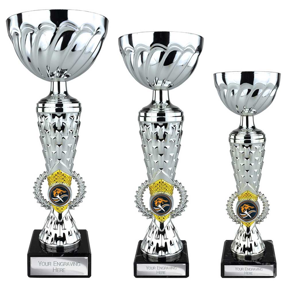 Energy Trophy Silver & Gold 235mm