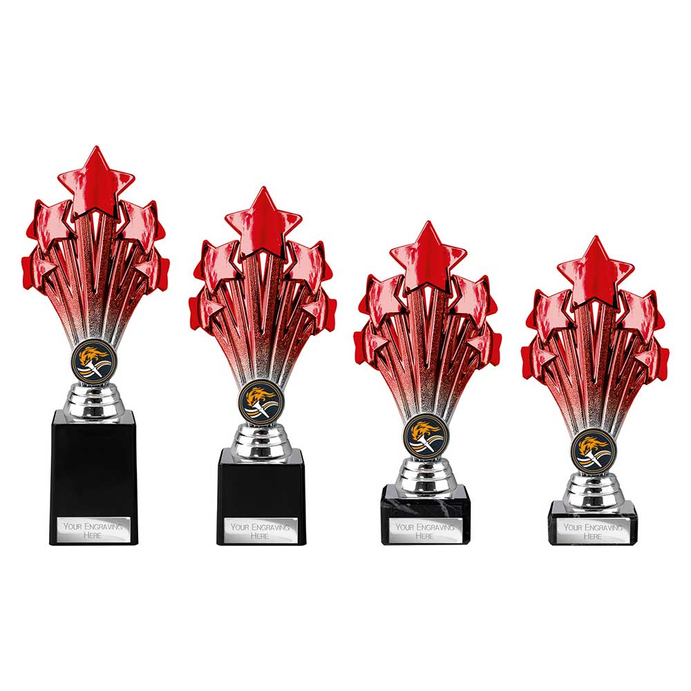 5 Star Trophy Red and Silver 220mm