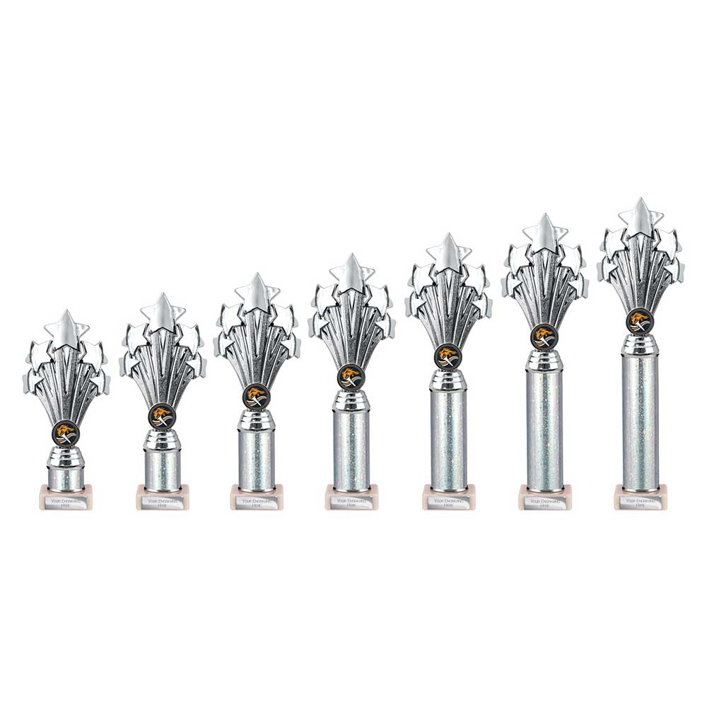 5 Star Multisport Tube Trophy Silver 340mm