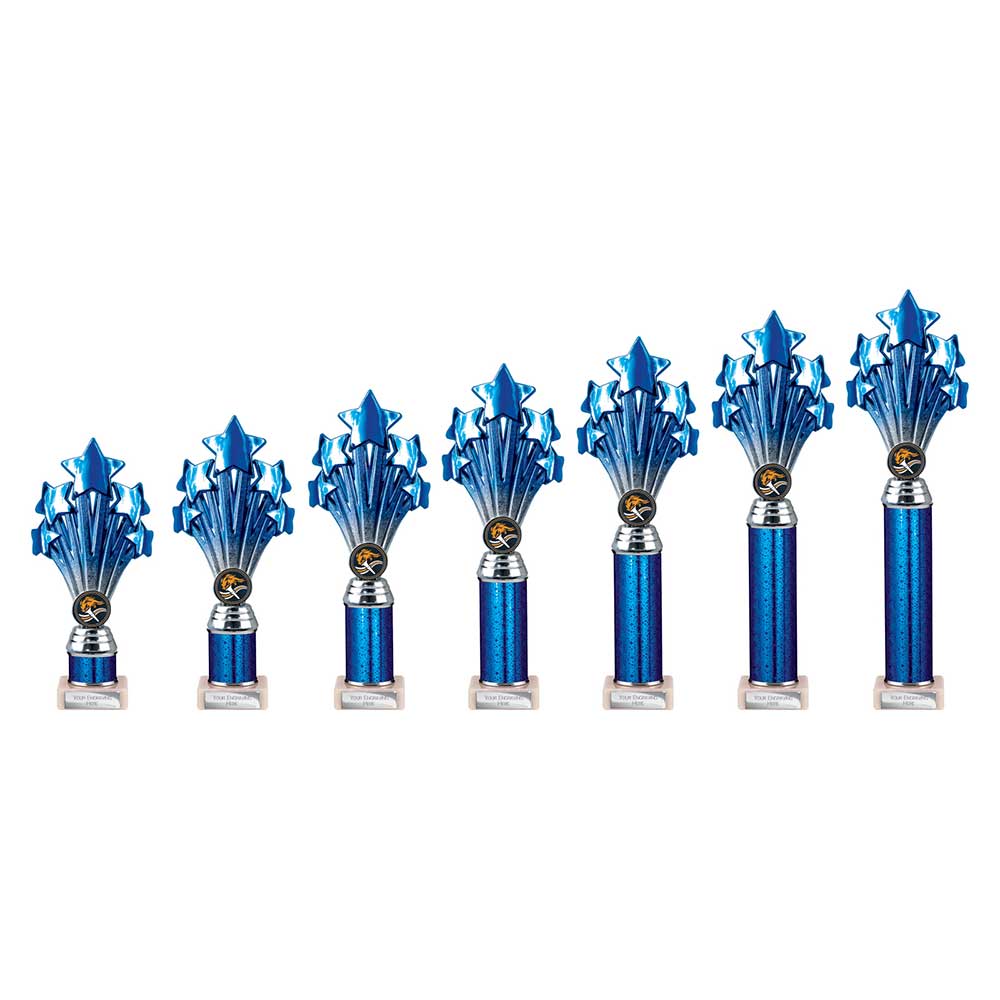 5 Star Multisport Tube Trophy Blue & Silver 340mm