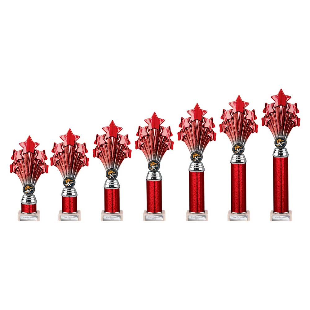 5 Star Multisport Tube Trophy Red and Silver 215mm