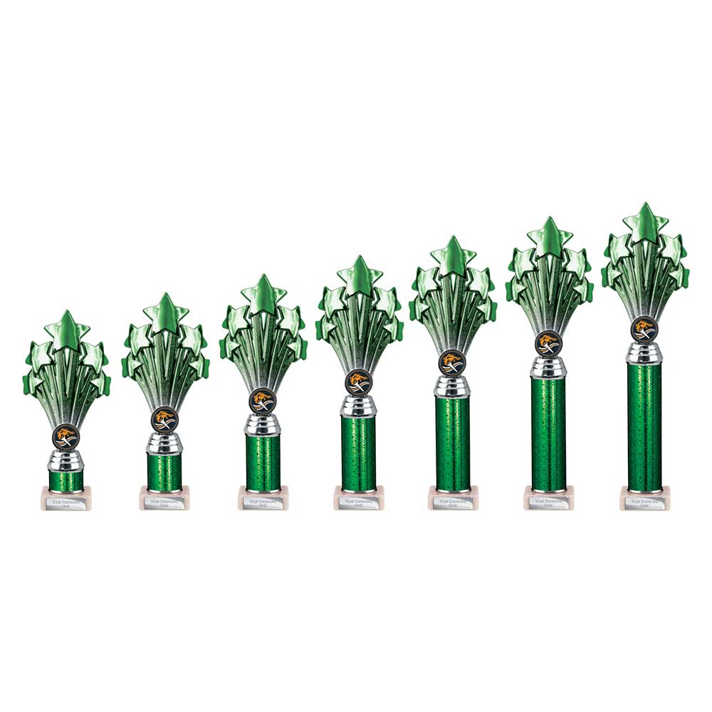 5 Star Multisport Tube Trophy Green and Silver 215mm