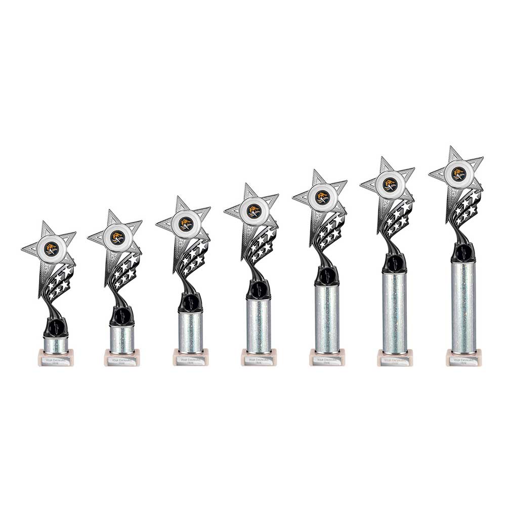 Innov8 Multisport Tube Trophy Silver & Black 325mm