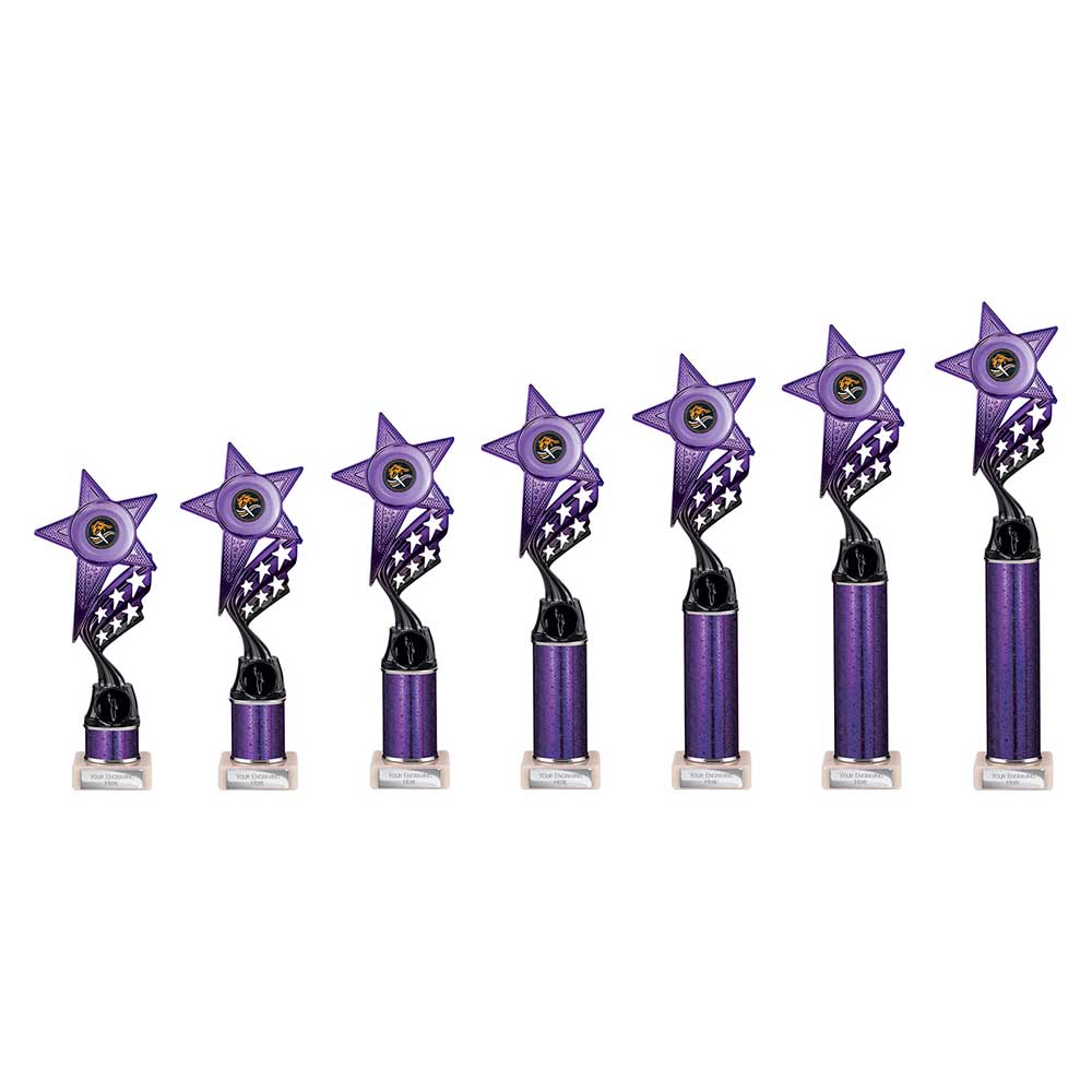 Innov8 Multisport Tube Trophy Purple & Black 250mm