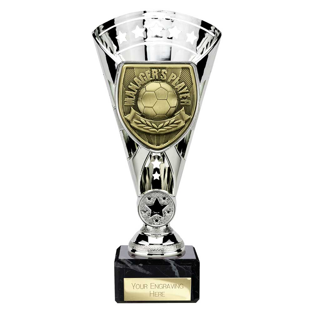 Cobra Star Cup Managers Player Silver 210mm