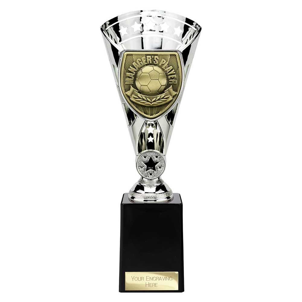 Cobra Star Cup Managers Player Silver 255mm