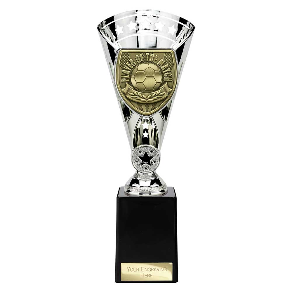 Cobra Star Cup Player of Match Silver 255mm