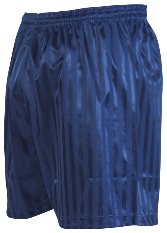 PE Striped Continental Navy Shorts