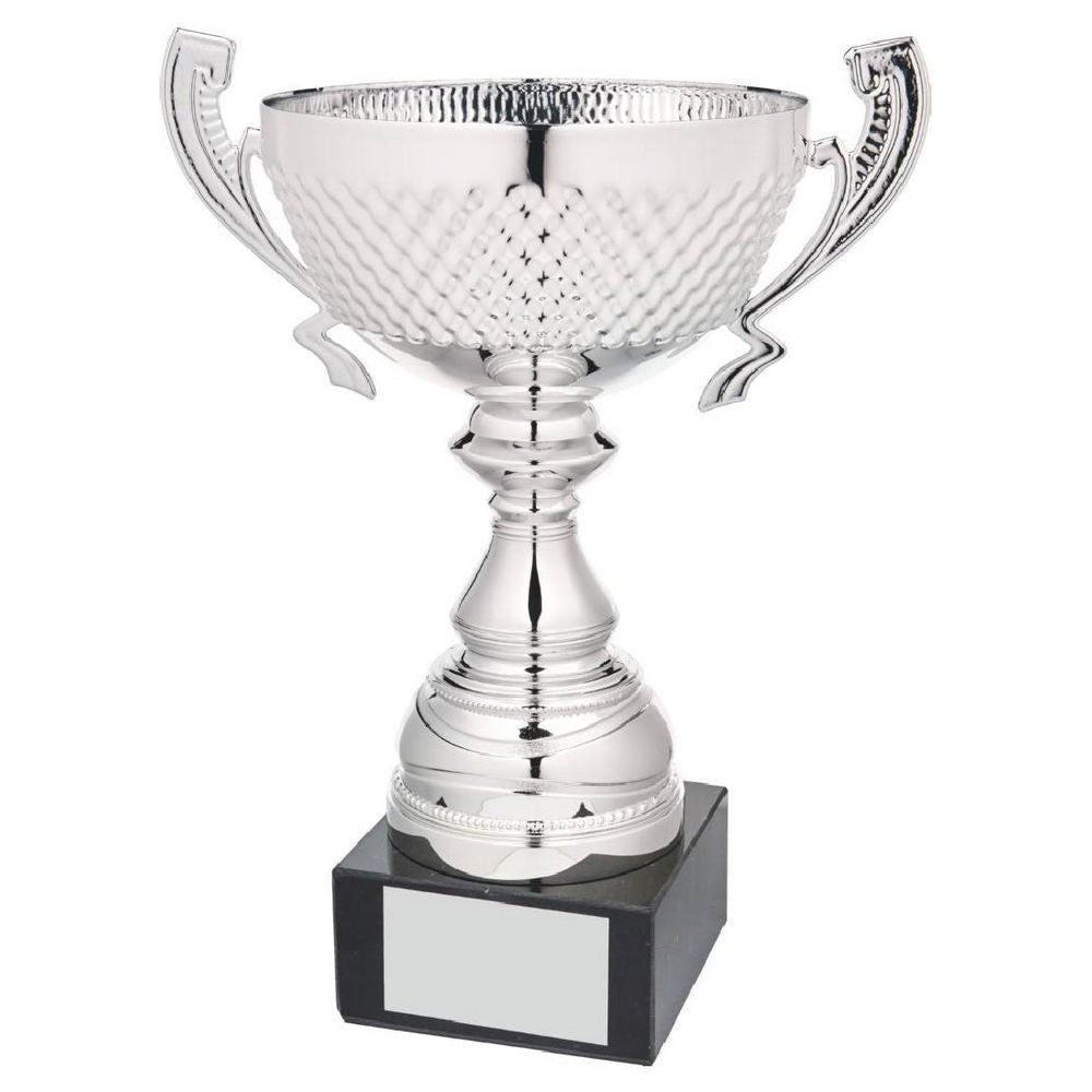 Silver Presentation Cup With Handles 300mm