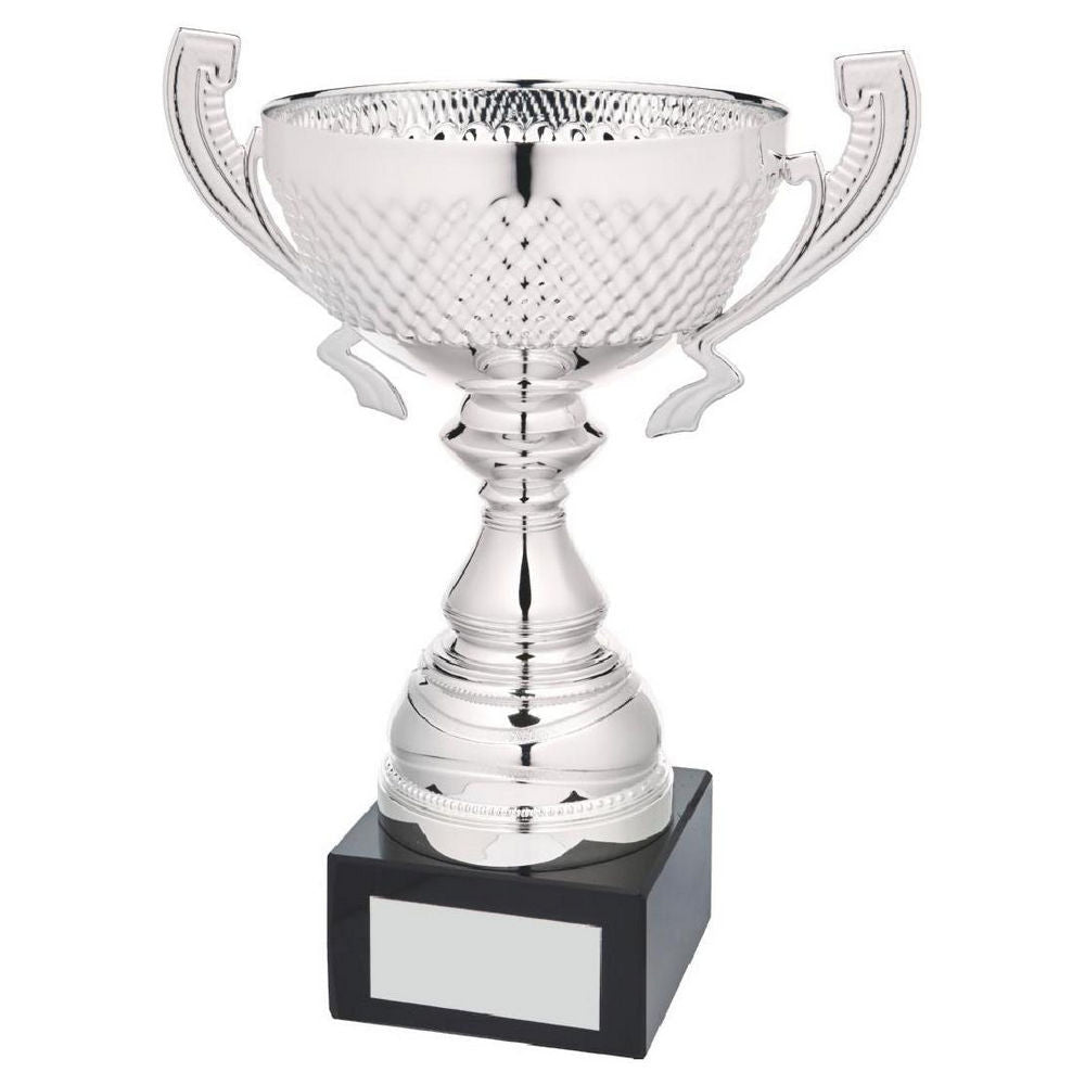 Silver Presentation Cup With Handles 270mm
