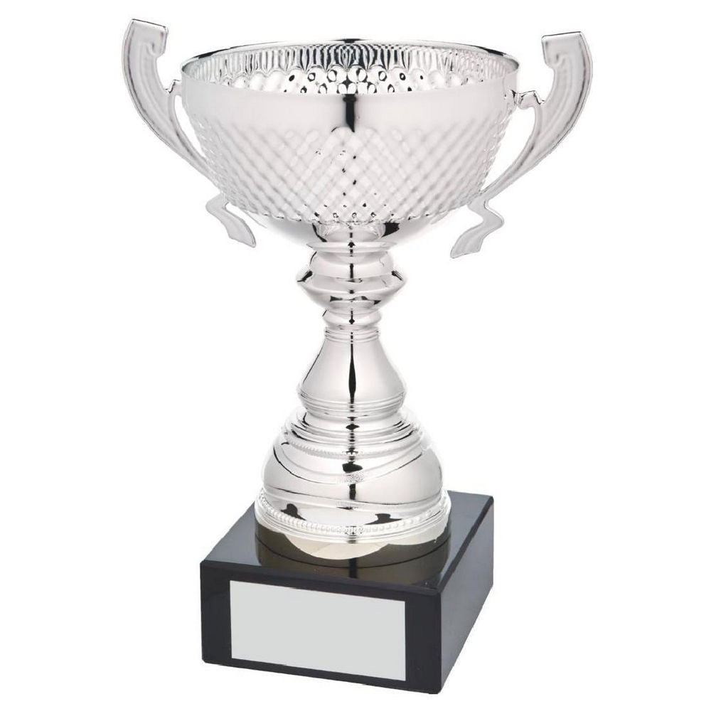 Silver Presentation Cup With Handles 235mm