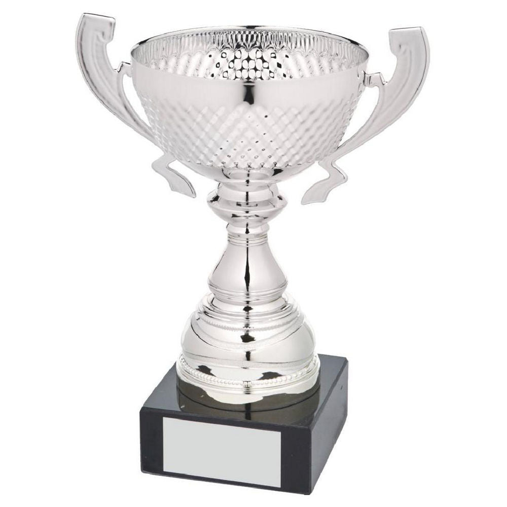 Silver Presentation Cup With Handles 200mm