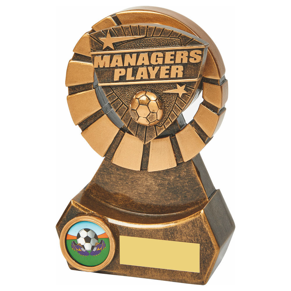 Managers Player Resin Award 140mm