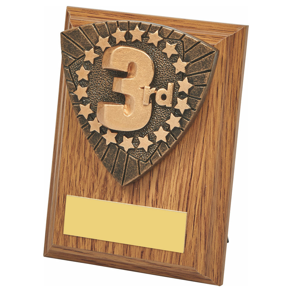 Wood Plaque with 3rd Place Resin Trim 100mm