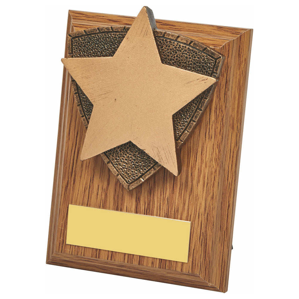 Wood Plaque with Resin Star Trim 100mm