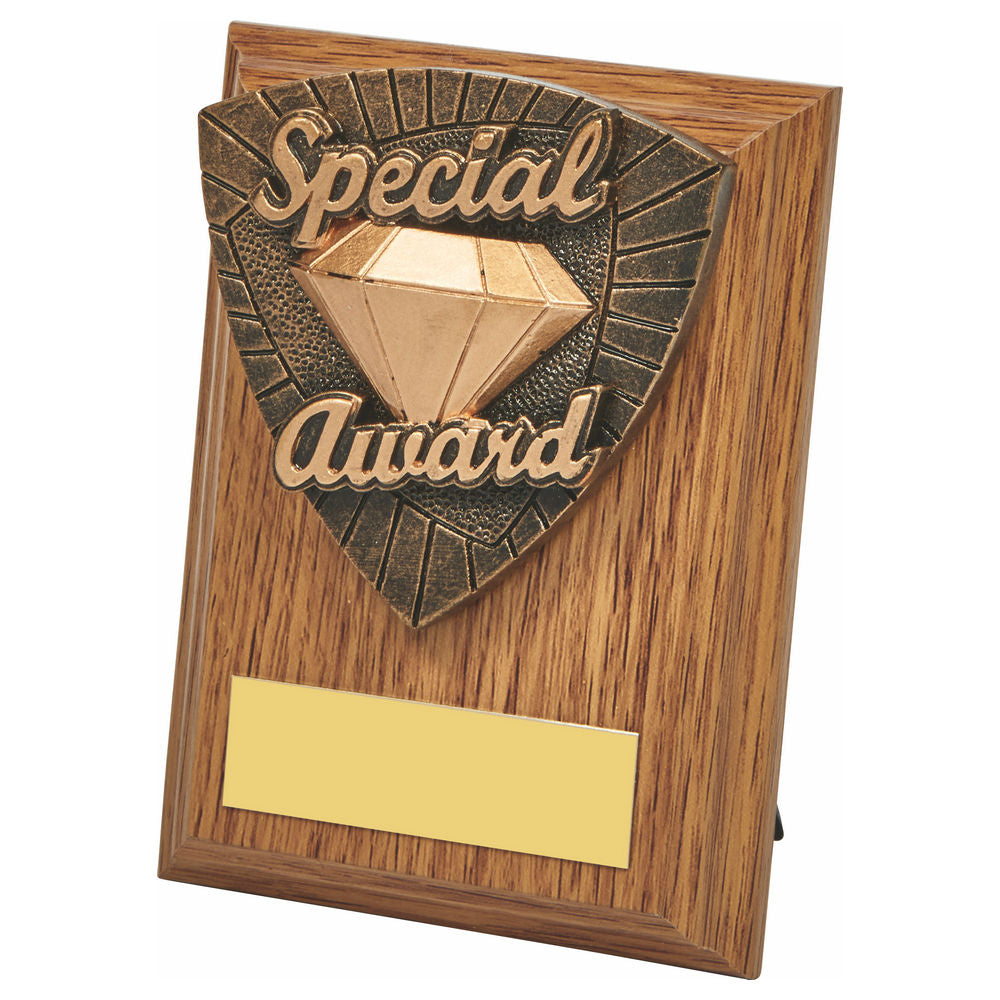 Wood Plaque with Resin Special Award Trim 100mm