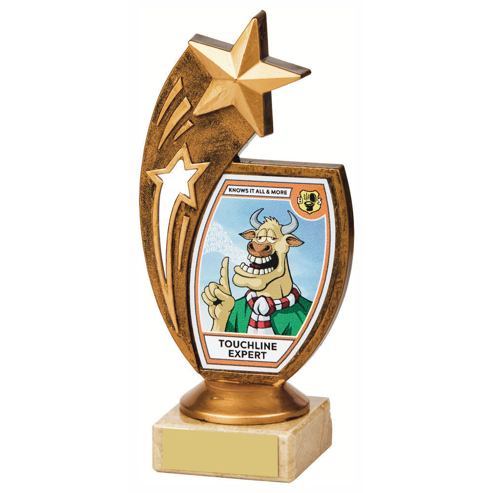 "Touchline Expert" Fun Award 170mm