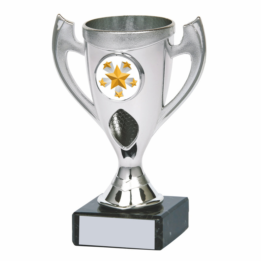 Silver Cup Award 210mm
