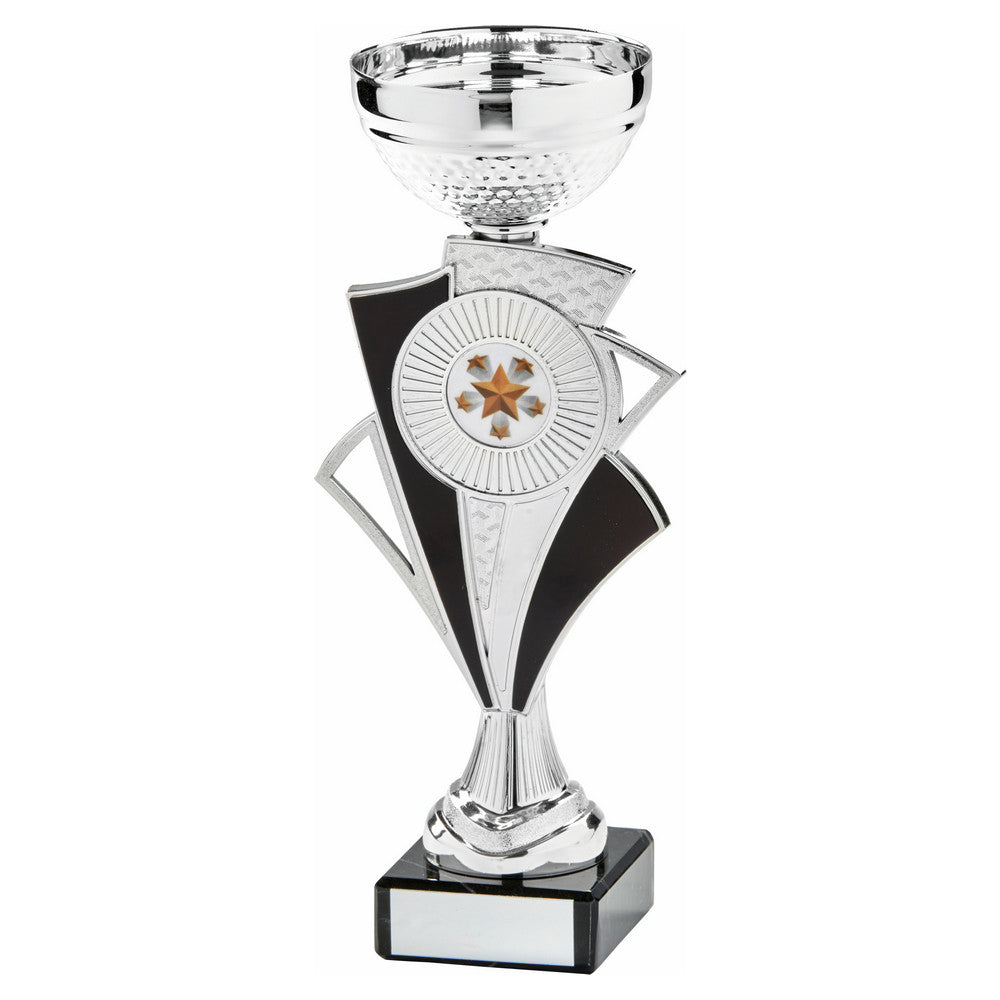 Silver Black Bowl Award 235mm