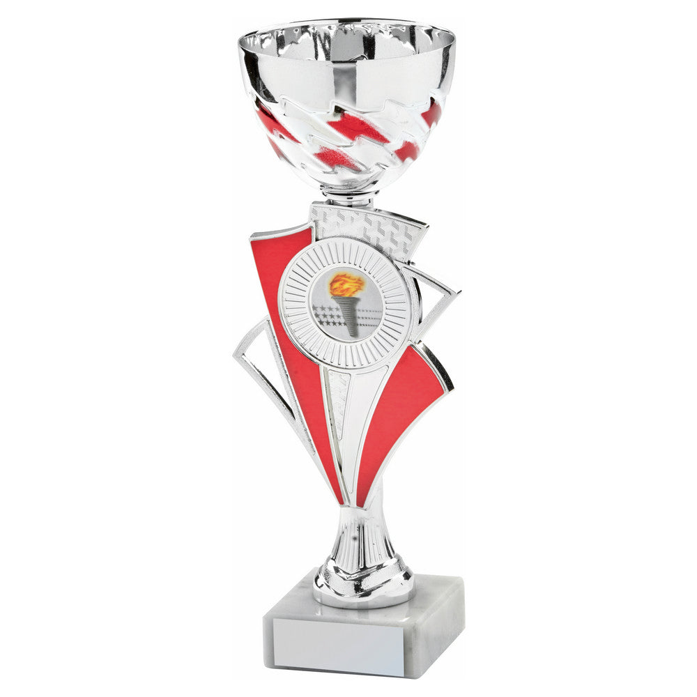 Silver/Red Bowl Award 250mm