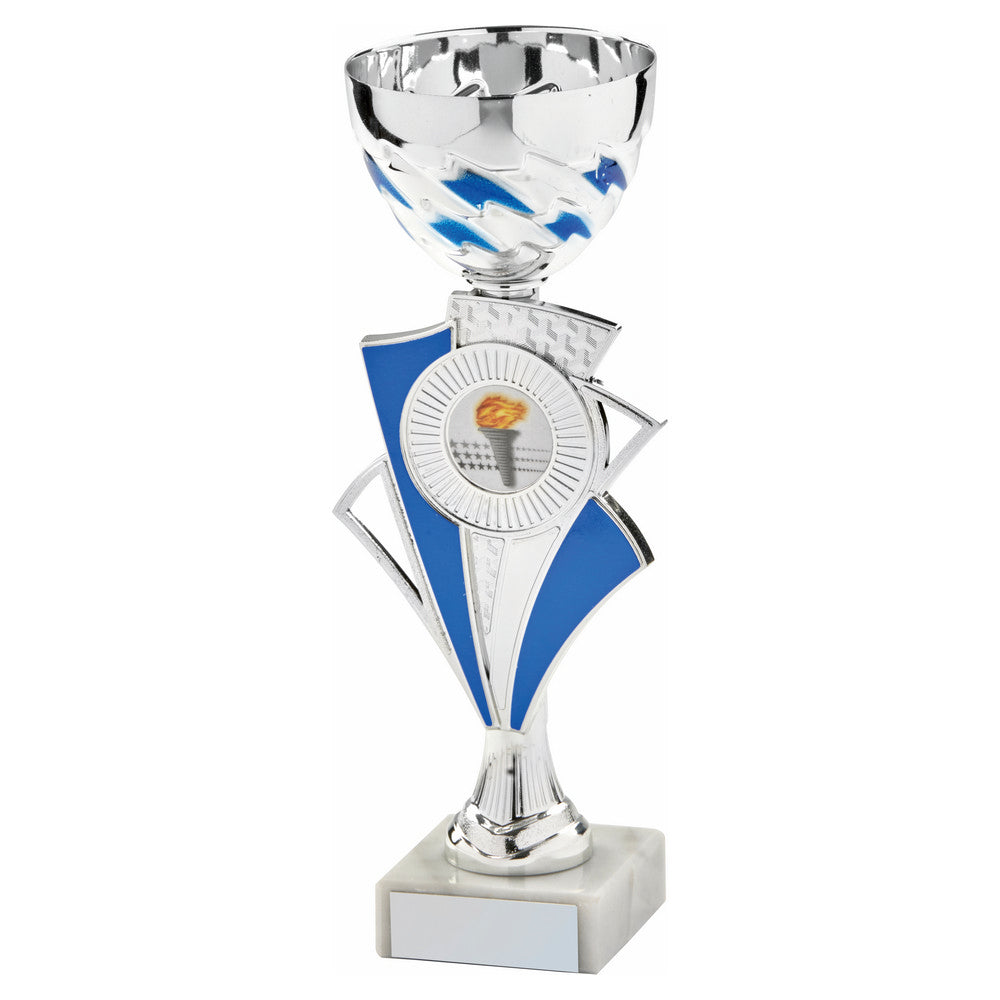 Silver/Blue Bowl Award 225mm
