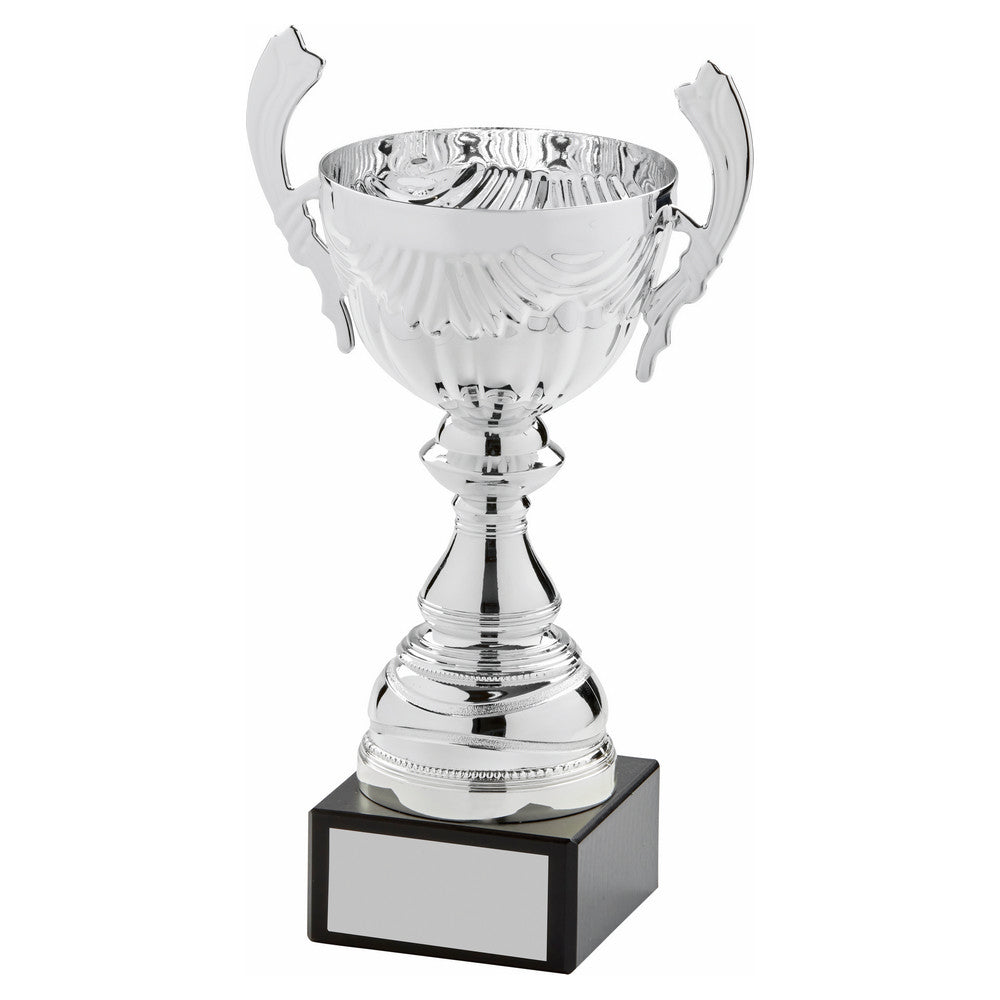 Silver Presentation Cup With Handles 285mm