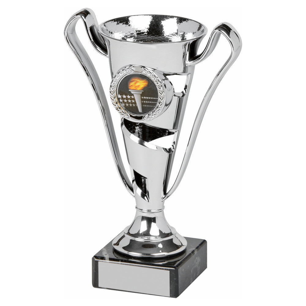 Silver Cup Award 160mm