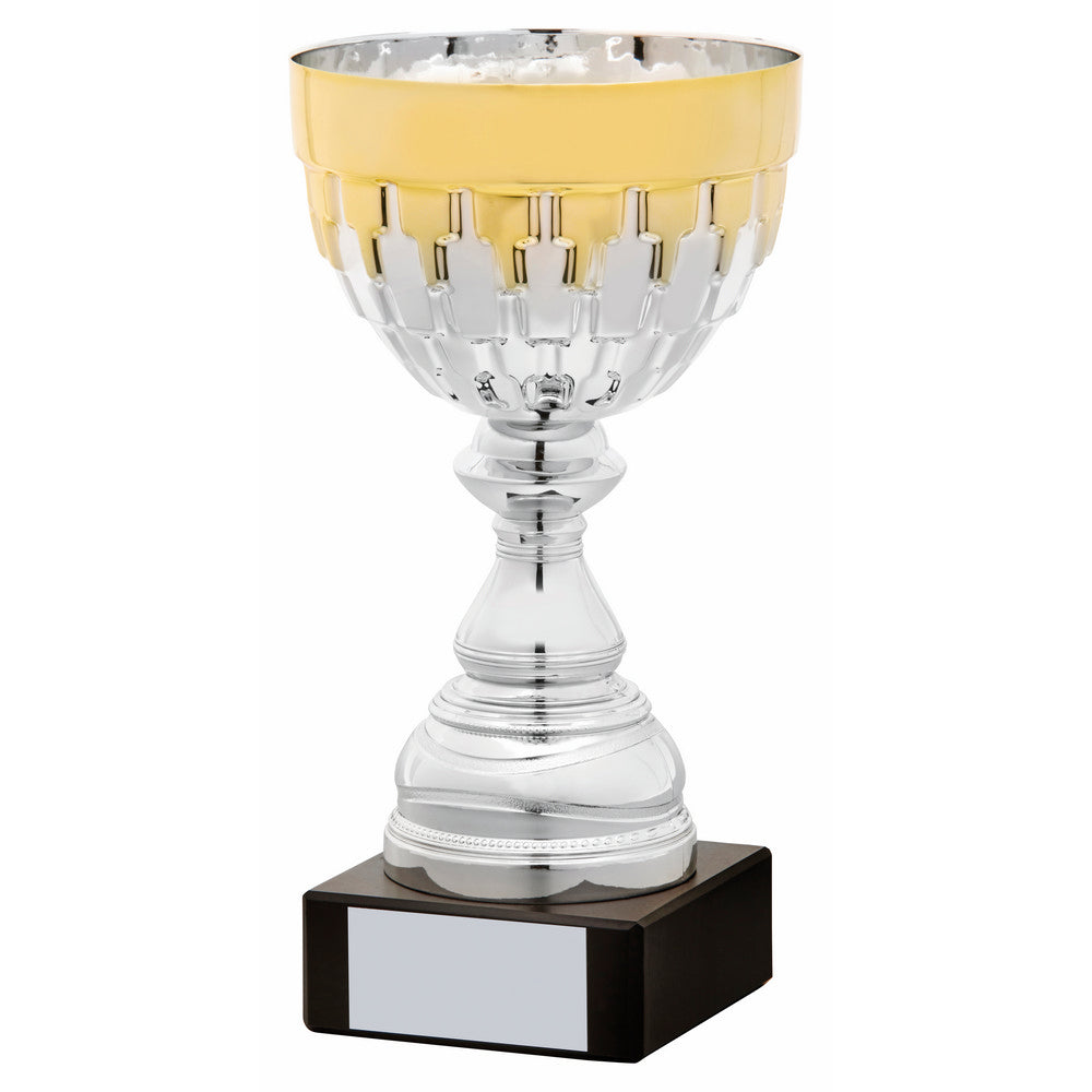 Silver and Gold Cup 200mm