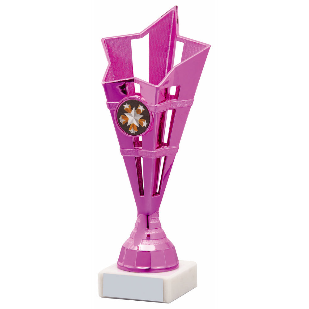Silver 3D Star Award 195mm