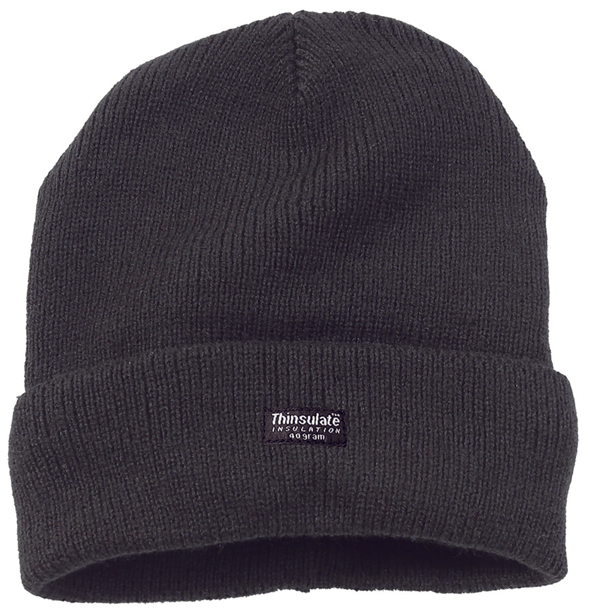 Thinsulate Watch Hat