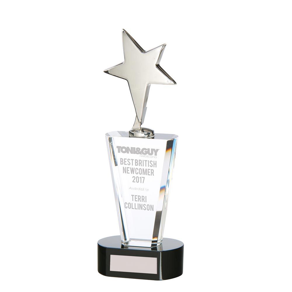 Chicago Crystal & Chrome Award 250mm (55mm Thick)